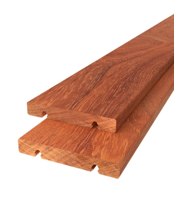 X-clip plank