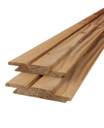Dubbele rhombus