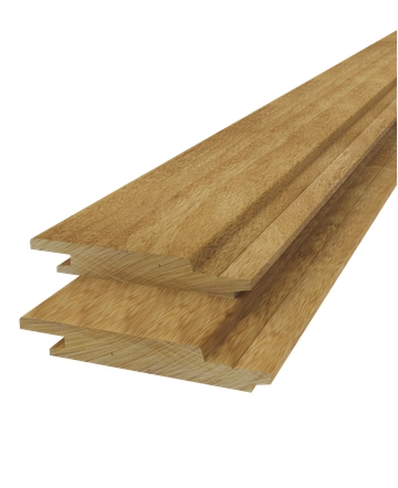 Enkele rhombus