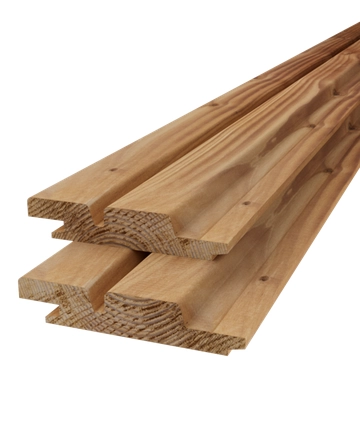 Dubbele rhombus